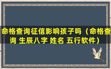 命格查询征信影响孩子吗（命格查询 生辰八字 姓名 五行软件）